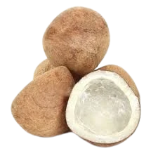 Dry Coconuts